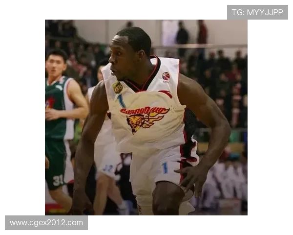 哈德森的传奇旅程探索与启示：从历史到未来的深度剖析